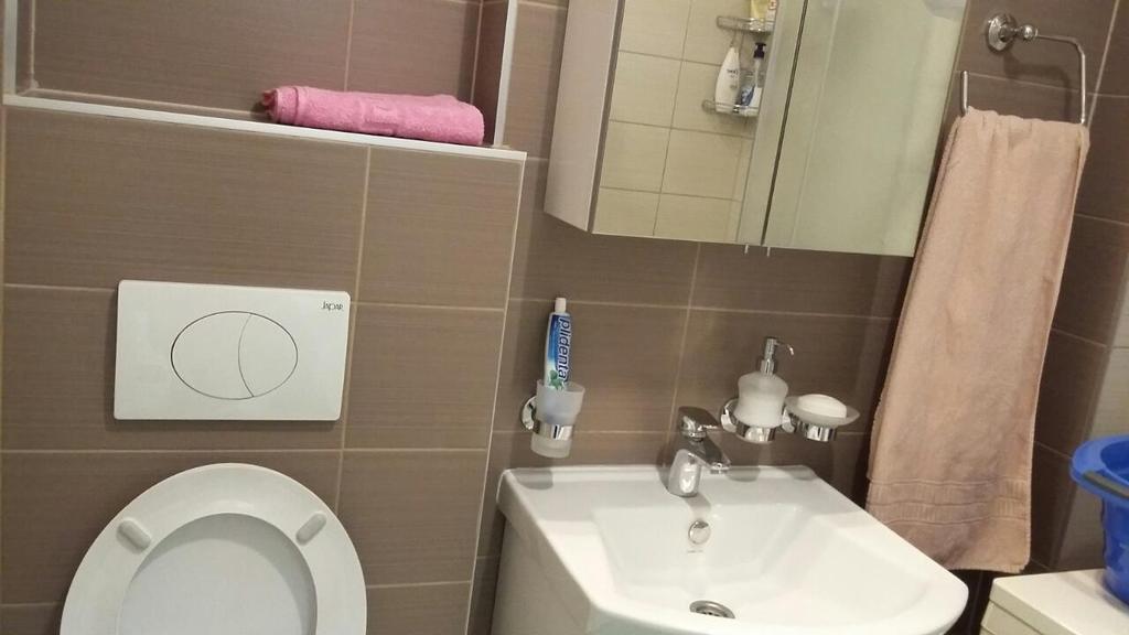 Luxury Miljacka Apartma